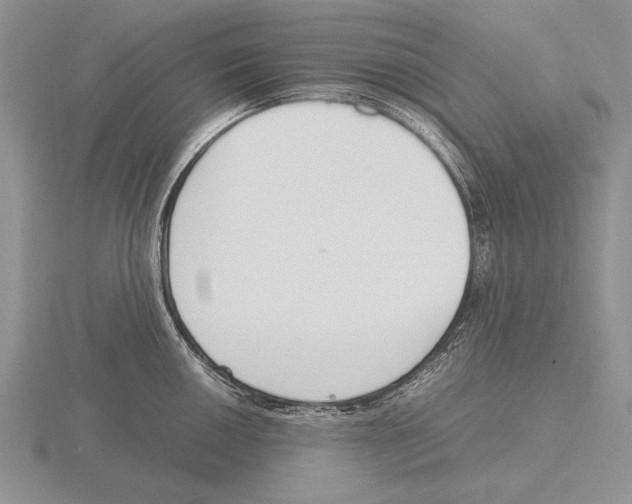 X0000115761050200912111042