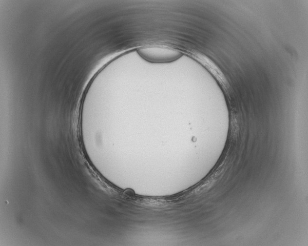 X0000115761052200912111042