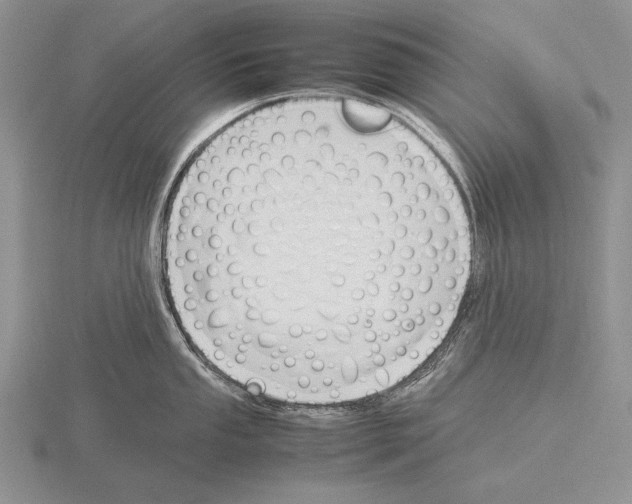 X0000115761053200912111042