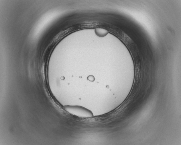 X0000115761054200912111042