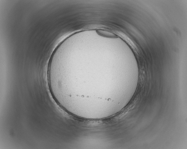 X0000115761055200912111042