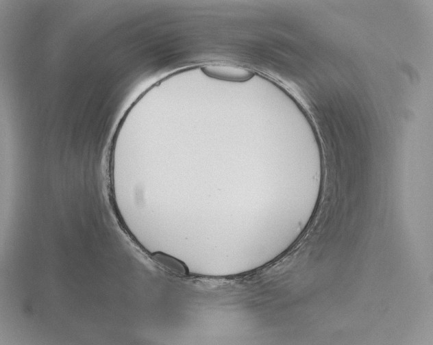 X0000115761056200912111042