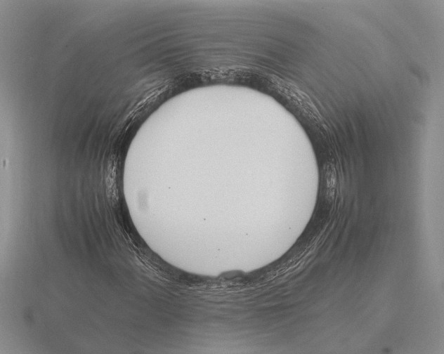 X0000115761060200912111041