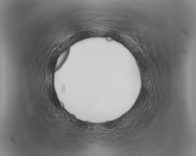 X0000115761061200912111041