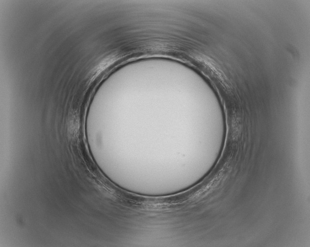 X0000115761065200912111041