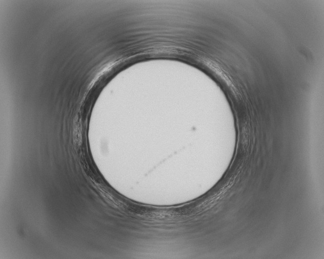 X0000115761067200912111041