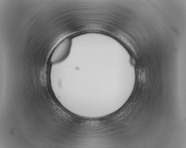 X0000115761068200912111041