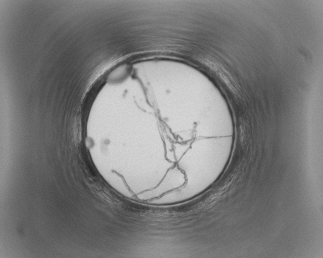 X0000115761069200912111041