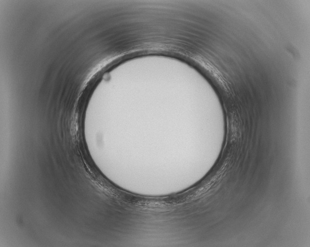 X0000115761070200912111041