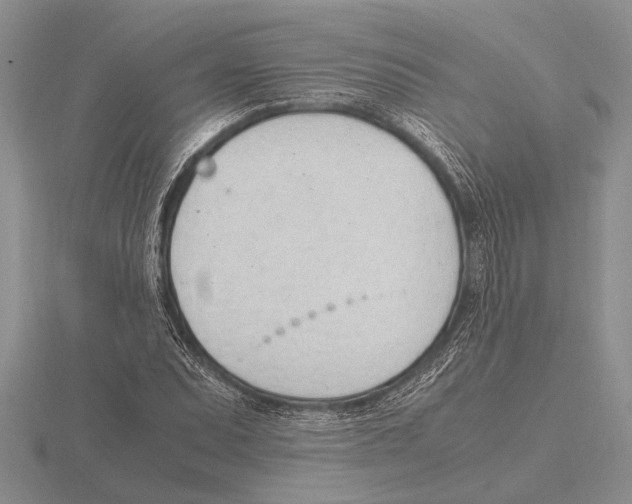 X0000115761071200912111041