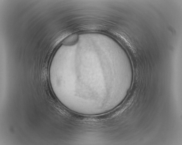 X0000115761073200912111041