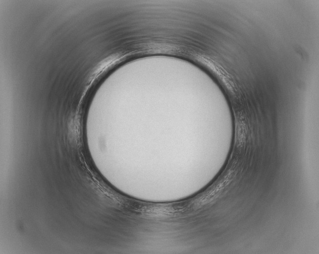 X0000115761074200912111041