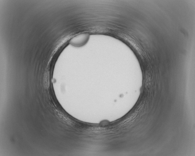 X0000115761075200912111041