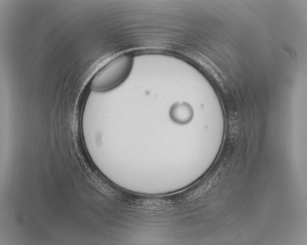 X0000115761077200912111041