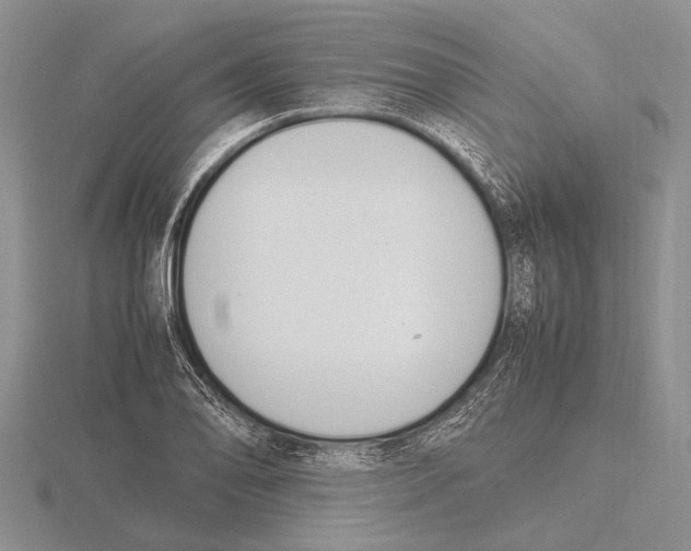 X0000115761078200912111041