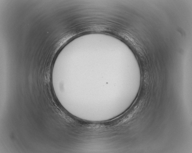 X0000115761081200912111041