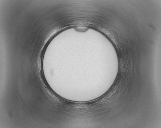 X0000115761083200912111041