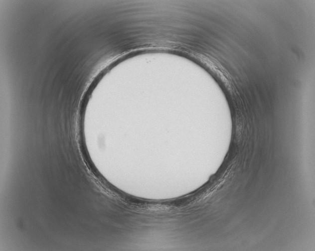 X0000115761085200912111041