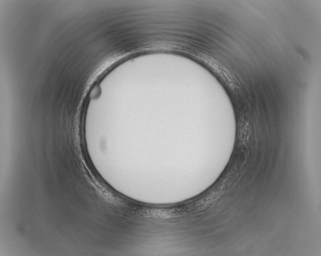 X0000115761086200912111041