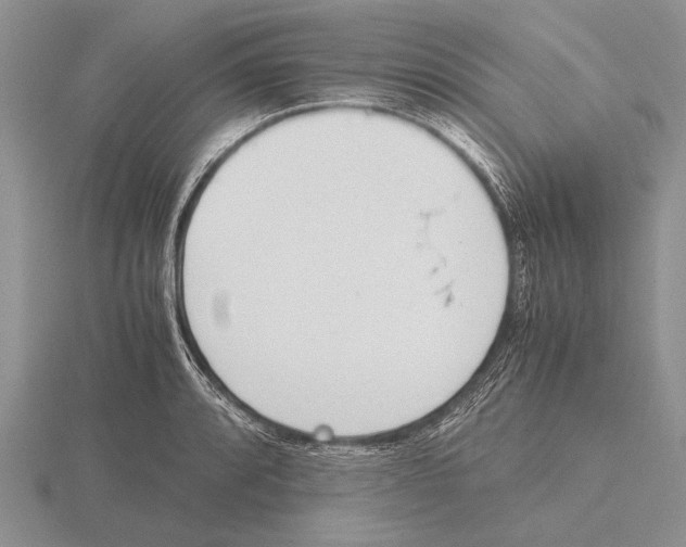 X0000115761088200912111041