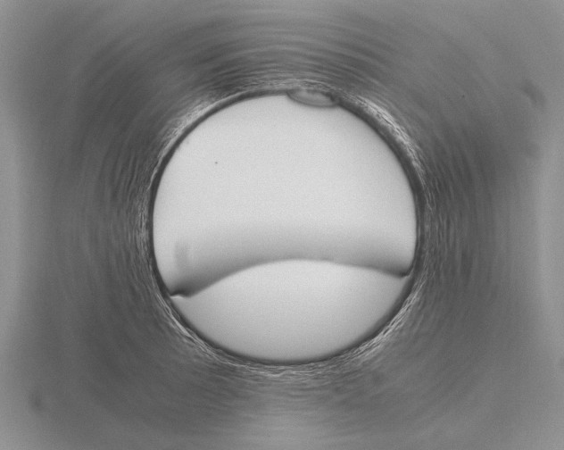 X0000115761089200912111041