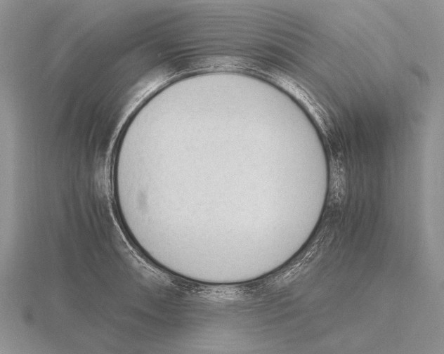 X0000115761090200912111041