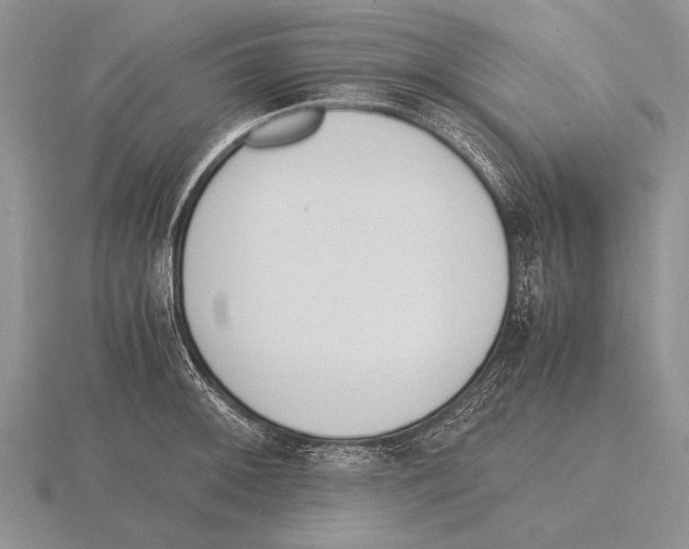 X0000115761092200912111041