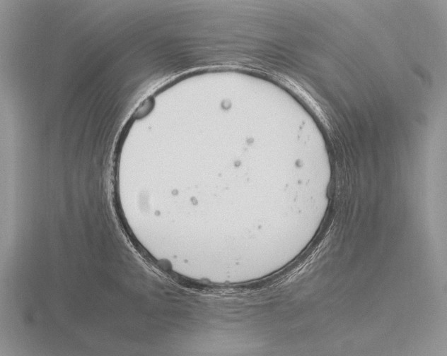 X0000115761093200912111041