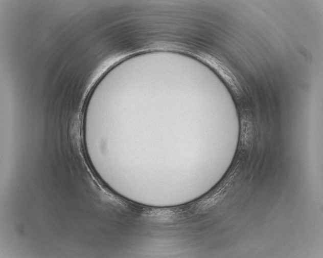 X0000115761094200912111041