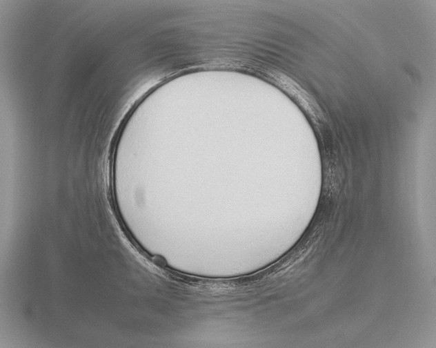 X0000115761095200912111040