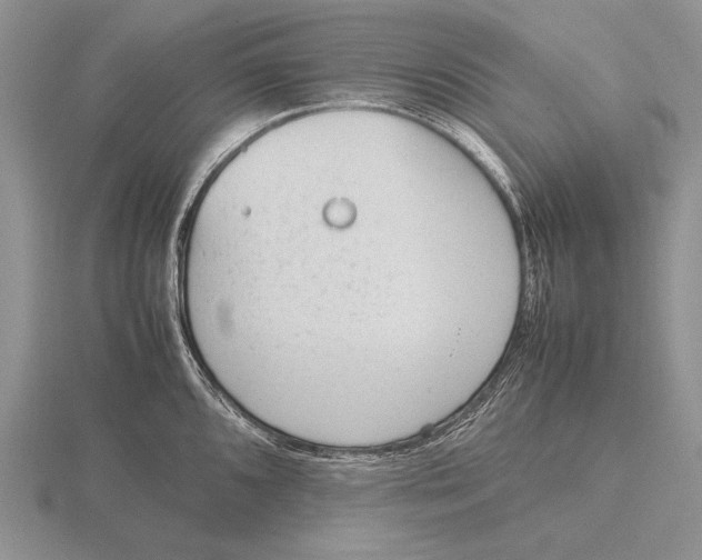 X0000115761096200912111040