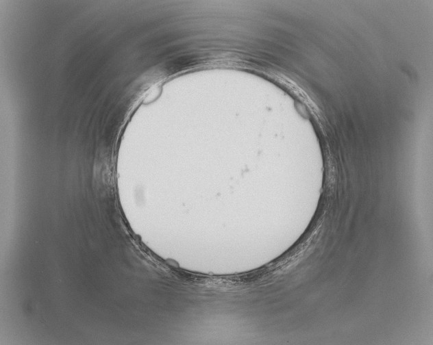 X0000115761097200912111040