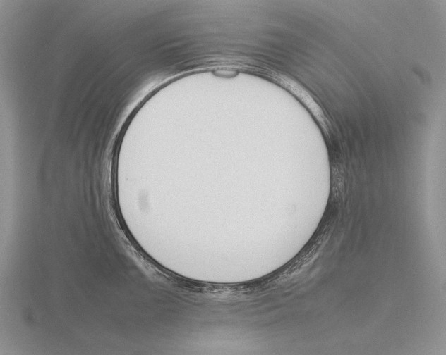 X0000115761099200912111040