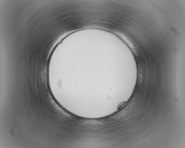 X0000115761100200912111040