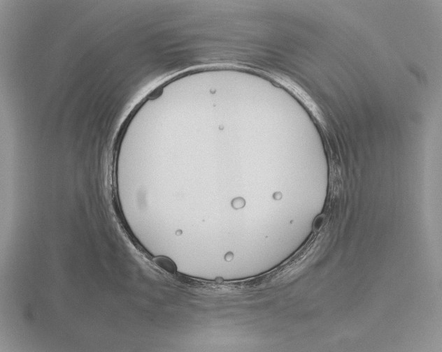 X0000115761101200912111040