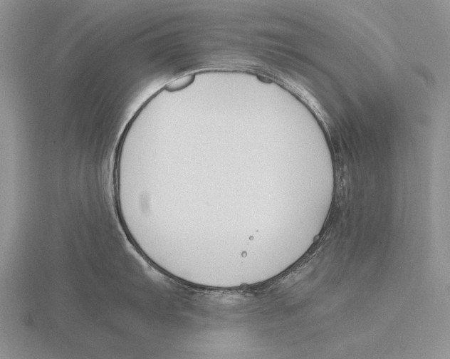 X0000115761103200912111040