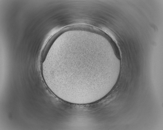 X0000115761104200912111040