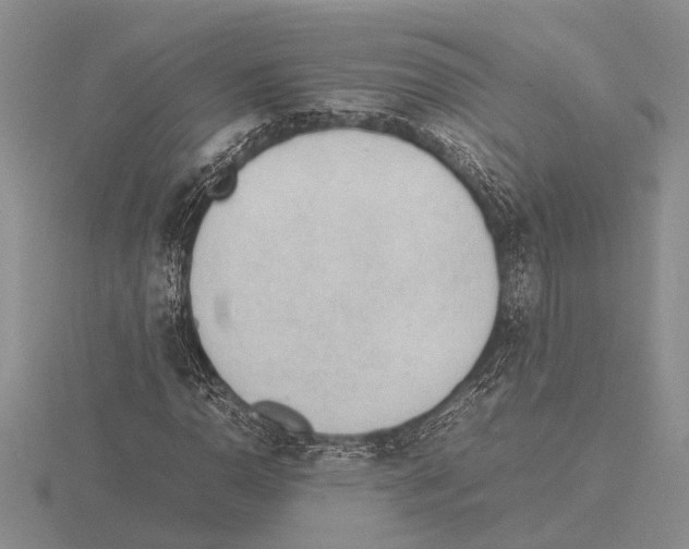 X0000115761110200912111040