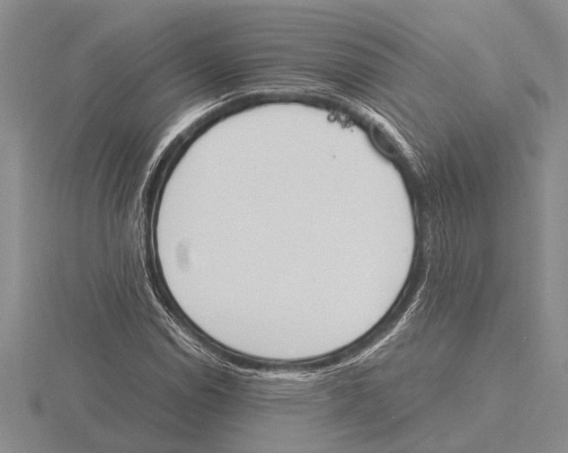 X0000115761114200912111040