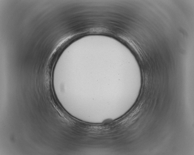 X0000115761115200912111040