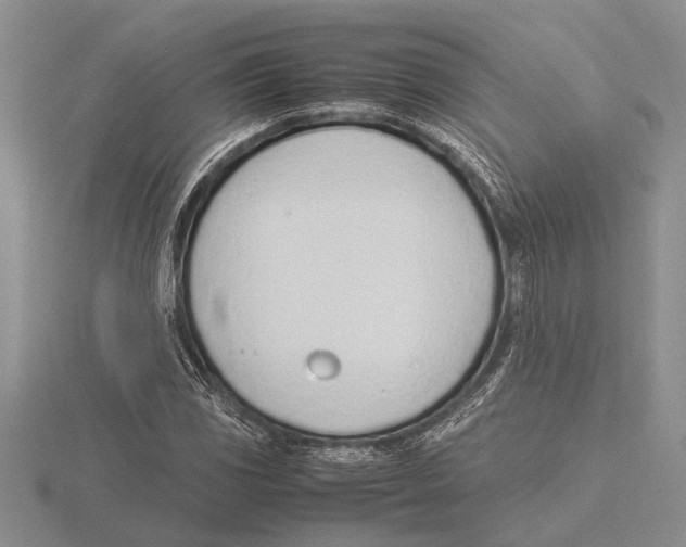 X0000115761117200912111040