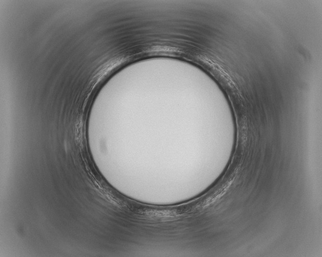 X0000115761121200912111040