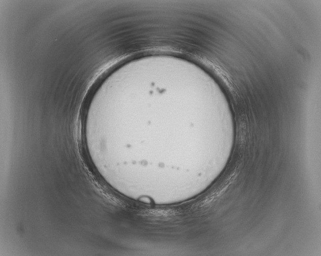 X0000115761125200912111040