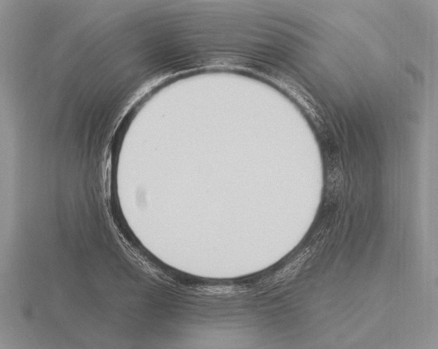 X0000115761126200912111040