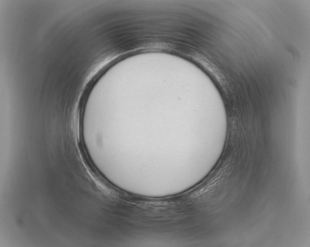 X0000115761127200912111040