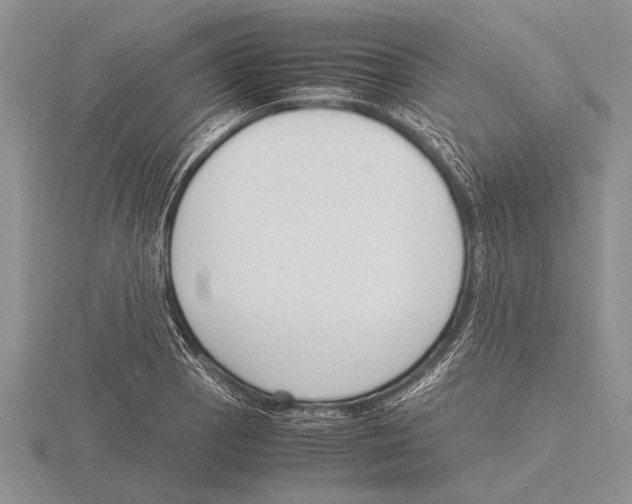 X0000115761129200912111040