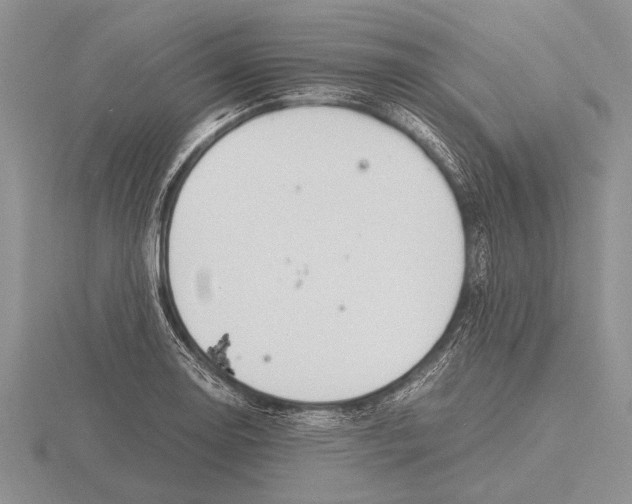 X0000115761130200912111040