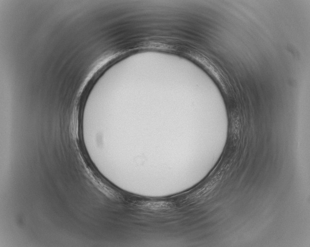 X0000115761131200912111040