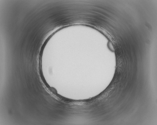 X0000115761134200912111040