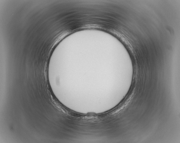 X0000115761137200912111040